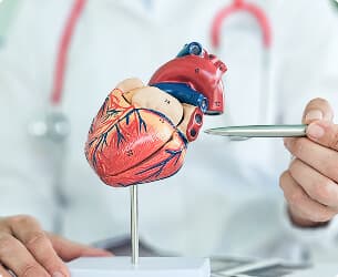 Cardiology