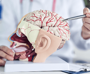 Neurology